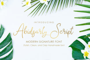 Abidzarly Font: Bold Script Typography for Web Design
