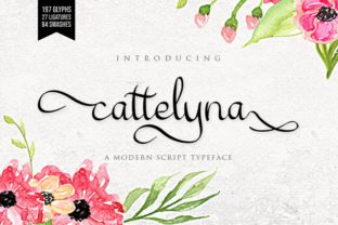 Cattelyna Font: Elevating Digital Brand Identity