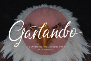Garlando Font Review: Elegant Script for Campaigns