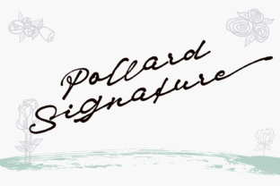 Pollard Font: Elevating Digital Brand Identity