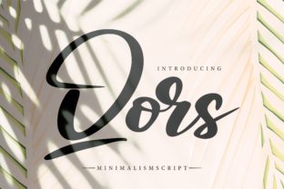 Qors Font: Elevate Small Business Branding