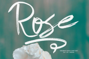 Rose Font Review: A Delicate Script for Branding
