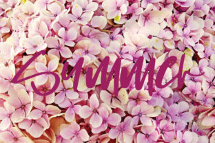 Summer Font: Elevating Digital Campaigns with Warm Script Typography