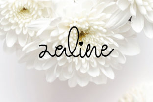 Zaline Font: A Web Designer’s Guide to Modern Script